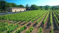 Domaine Croix de F&eacute;lix &copy; 