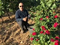 Domaine Croix de F&eacute;lix &copy; Domaine Croix de F&eacute;lix