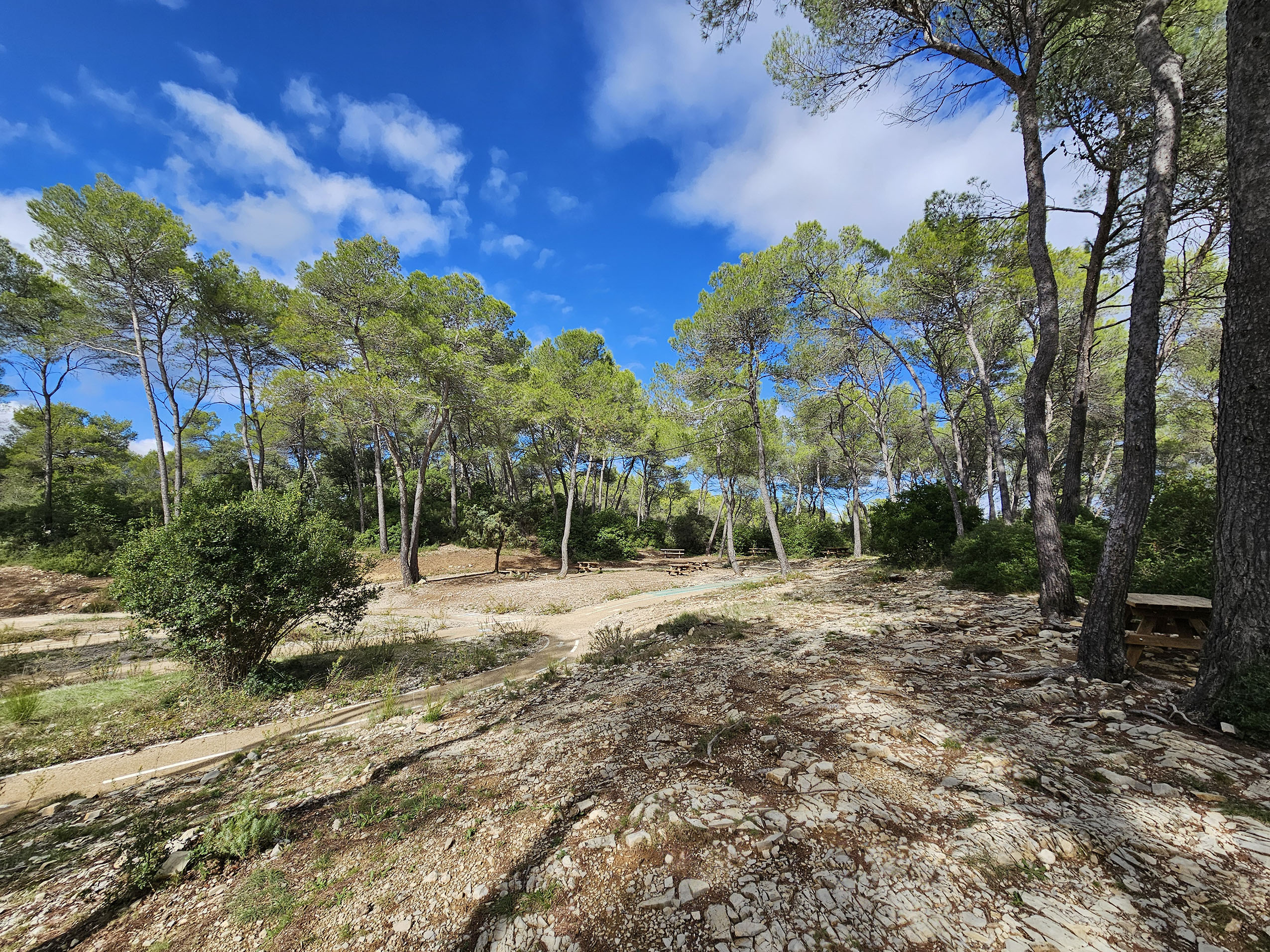 Le Bois de Saint-Sauveur