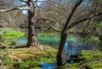 La Source de la Bu&egrave;ges &copy;laura_maurel