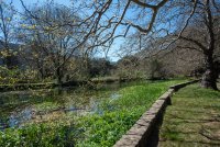 La Source de la Bu&egrave;ges &copy;laura_maurel