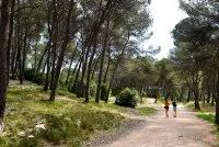 Tour de guet du Bois de Saint-Sauveur &copy; herault tourisme