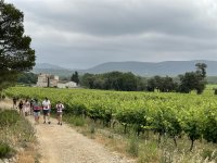 Winetour en Pic Saint Loup © Bertrand Bosc