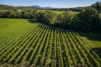 Domaine de Saint-Clément © Elsa Coulon Garnier