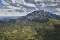 Pic-Saint-Loup©EPerrin_DSC7704copie © emmanuelperrin Pic-Saint-Loup©EPerrin_DSC7704copie © emmanuelperrin
