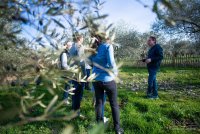 VISITEGUIDEE-PIERRE-portrait © REGIS DOMERGUE