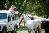 image © camargue autrement 