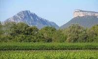 Arles Chateau de Lascours 1 © Arles Chateau de Lascours