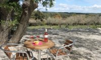 DOMAINE PUECH TERRASSE © DOMAINE PUECH