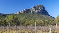 Le_Pic_St-Loup_©ADT34_E_Brendle_2_Boucle5 ©Eric Brendle - ADT34