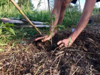 Atelier Permaculture Potager © Perma Social Club